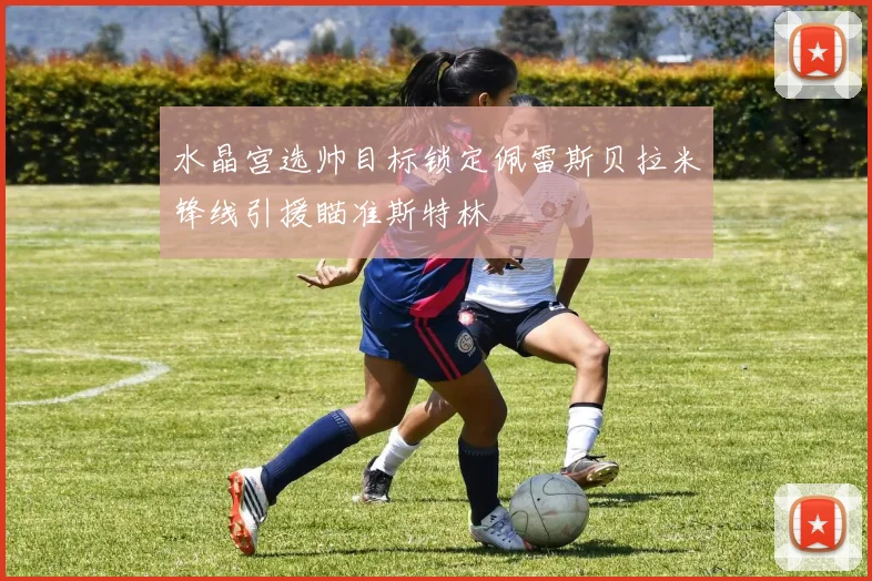 水晶宫选帅目标锁定佩雷斯贝拉米锋线引援瞄准斯特林