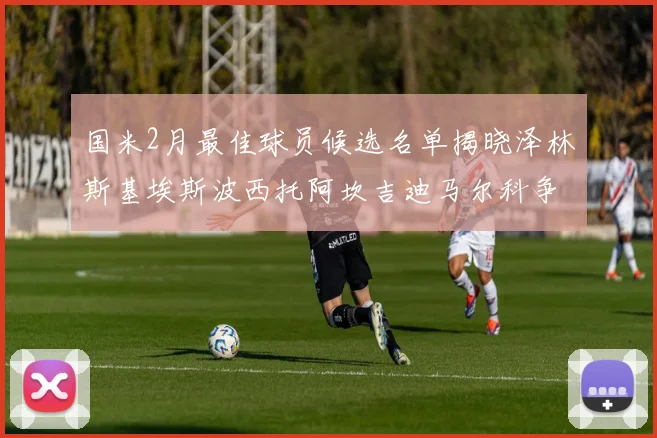 国米2月最佳球员候选名单揭晓泽林斯基埃斯波西托阿坎吉迪马尔科争夺荣誉