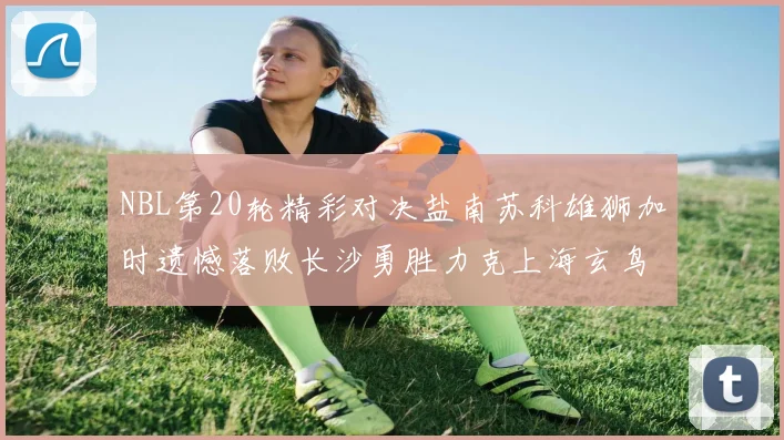 NBL第20轮精彩对决盐南苏科雄狮加时遗憾落败长沙勇胜力克上海玄鸟