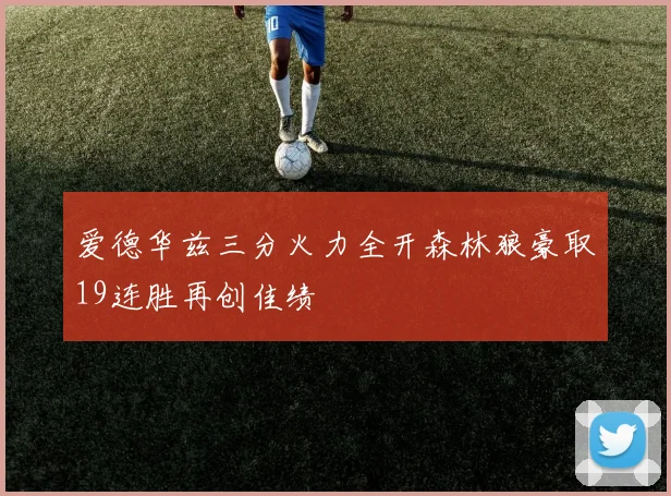 爱德华兹三分火力全开森林狼豪取19连胜再创佳绩